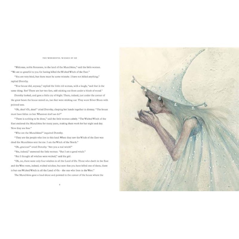 Книга на английском языке 