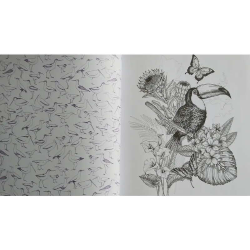 Раскраска на английском языке 