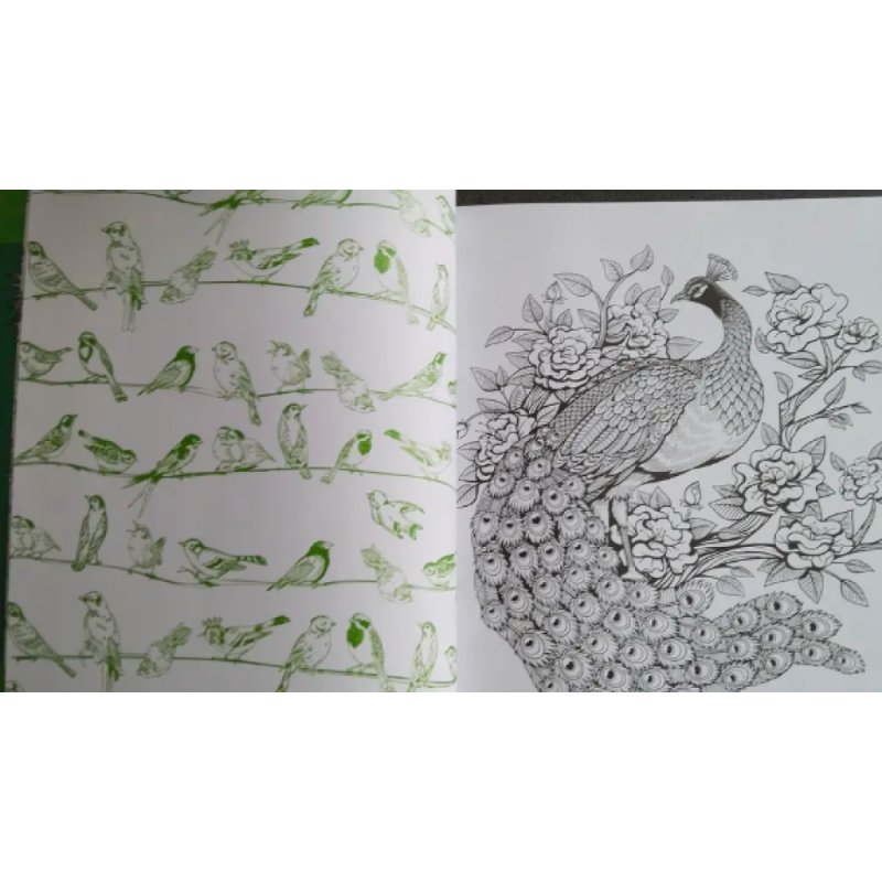 Раскраска на английском языке 