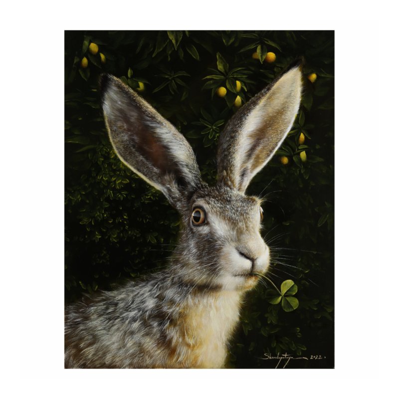 Чехол для карт 