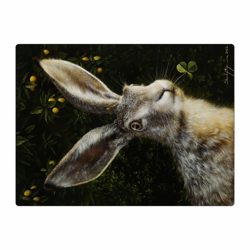 Чехол для карт 