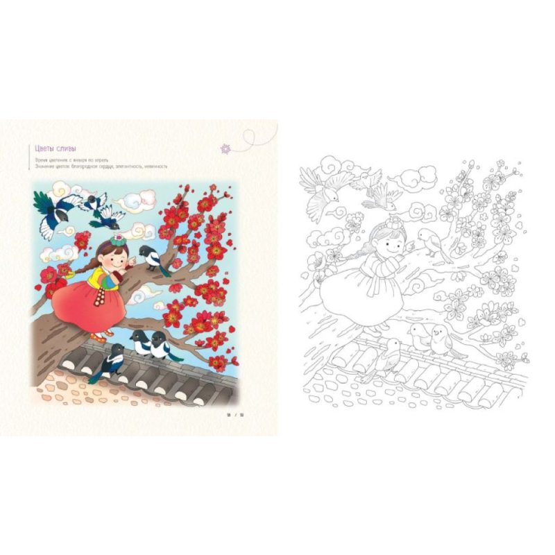 Раскраска антистресс 