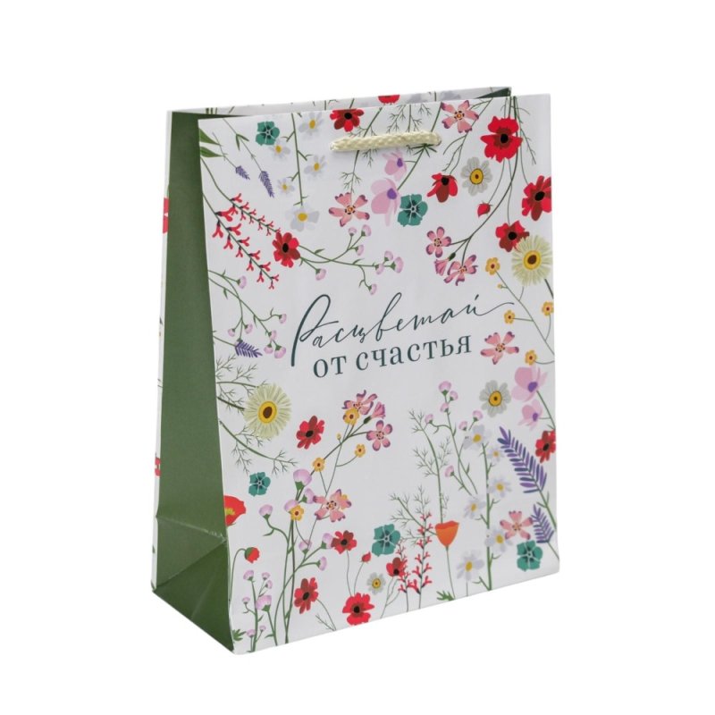 Пакет бумажный подарочный 