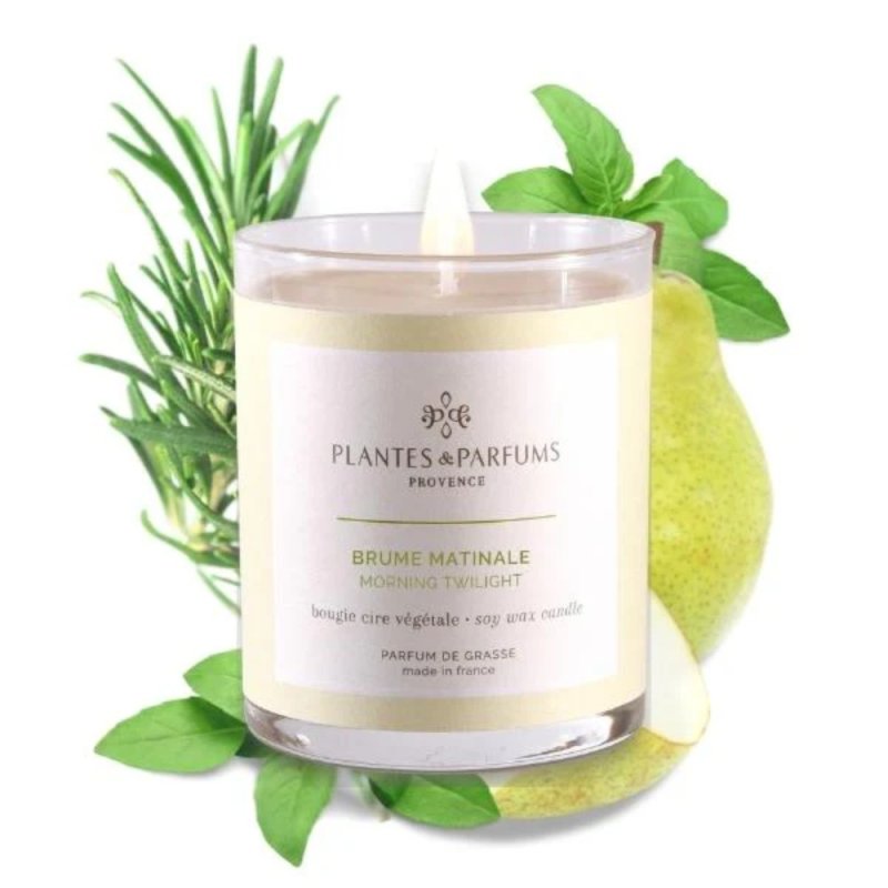 Свеча ароматическая PLANTS&PARFUMS 