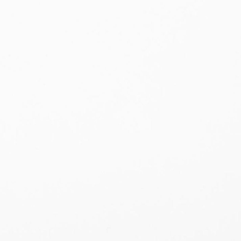 Краски акриловые Ладога (Невская палитра), 100 белила цинковые, 220 мл., банка