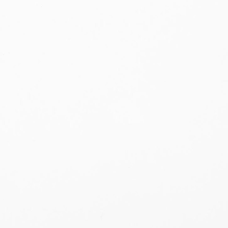 Краски акриловые Ладога, 101 белила титановые, 100 мл., банка