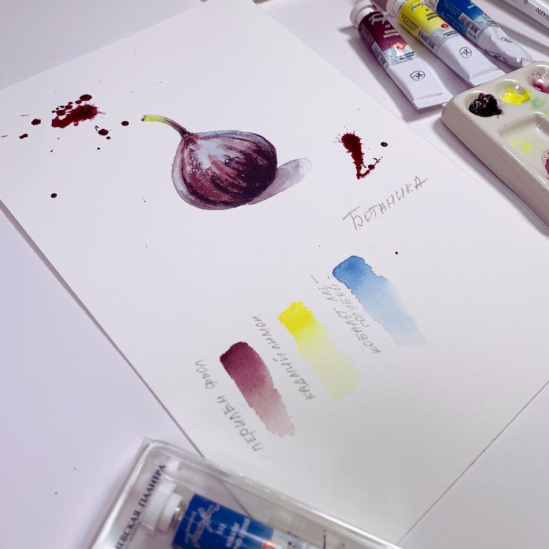 Краски акварельные 