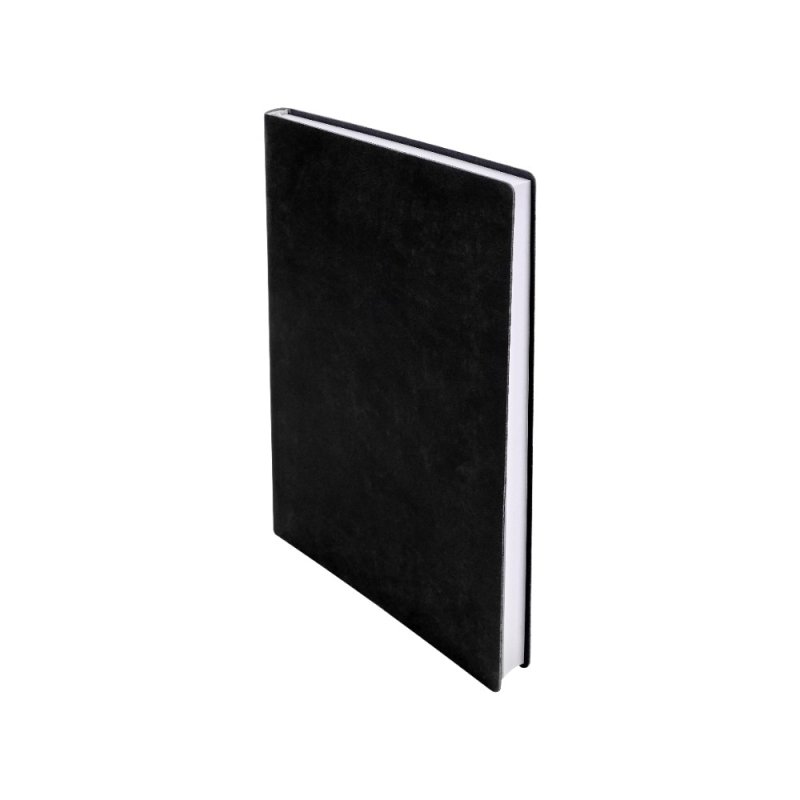 Ежедневник недатированный 