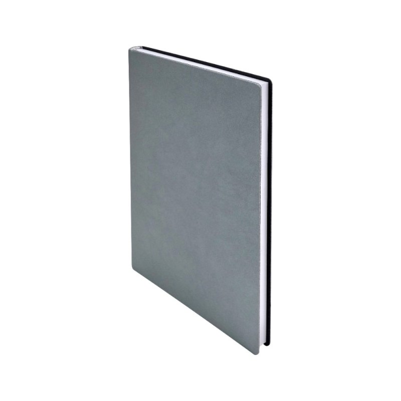 Ежедневник недатированный 