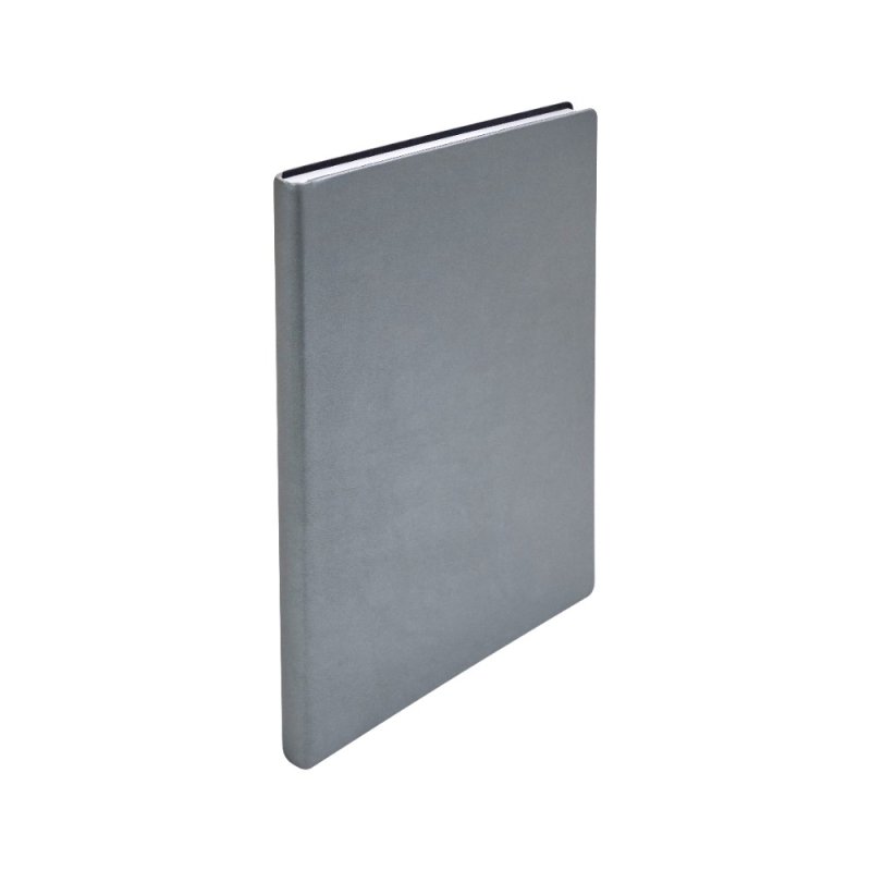 Ежедневник недатированный 