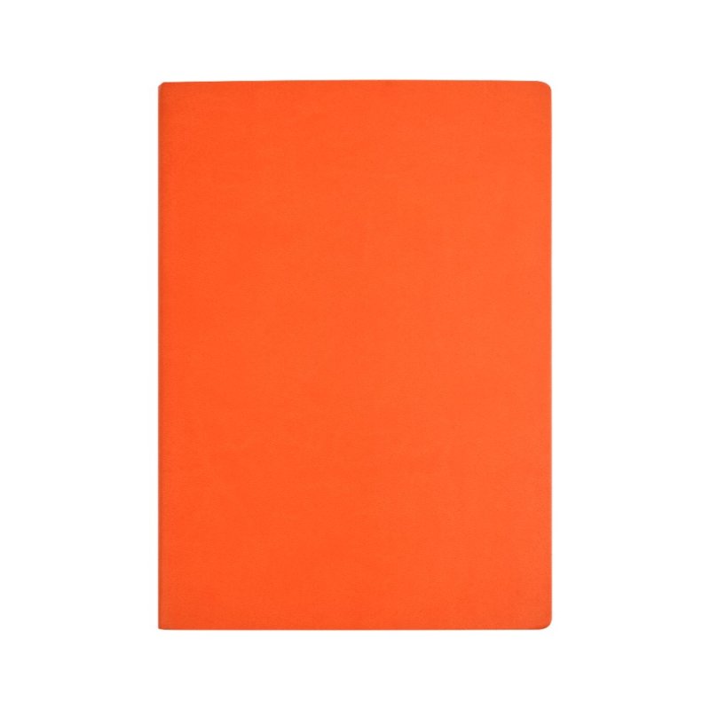 Ежедневник недатированный 