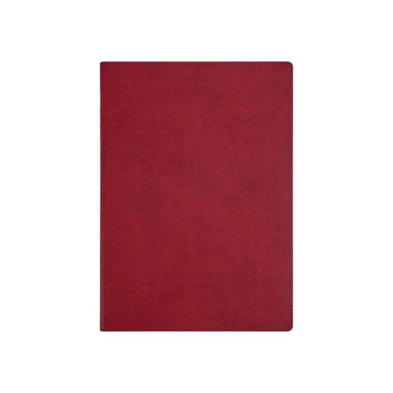 Ежедневник недатированный 