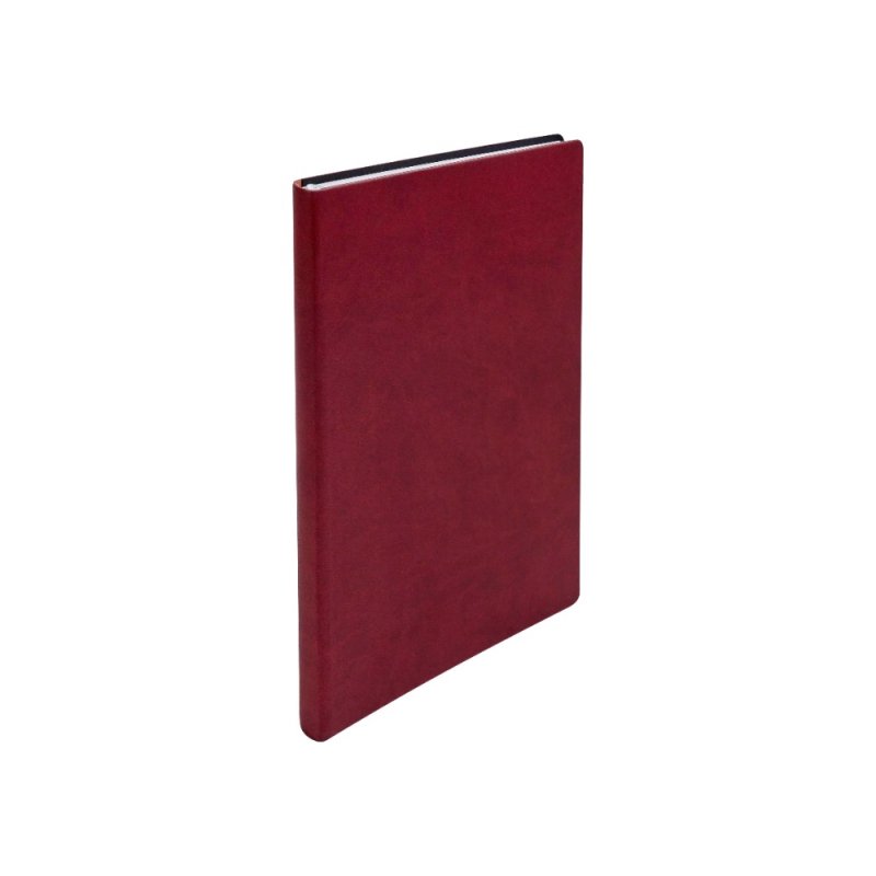 Ежедневник недатированный 