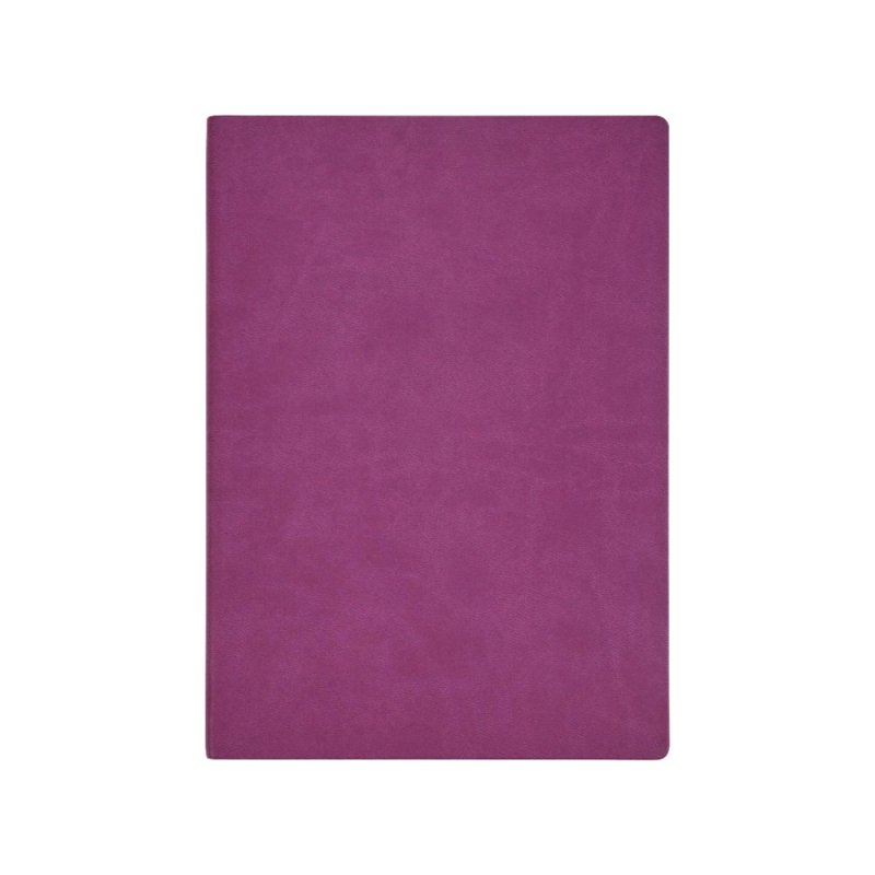 Ежедневник недатированный 