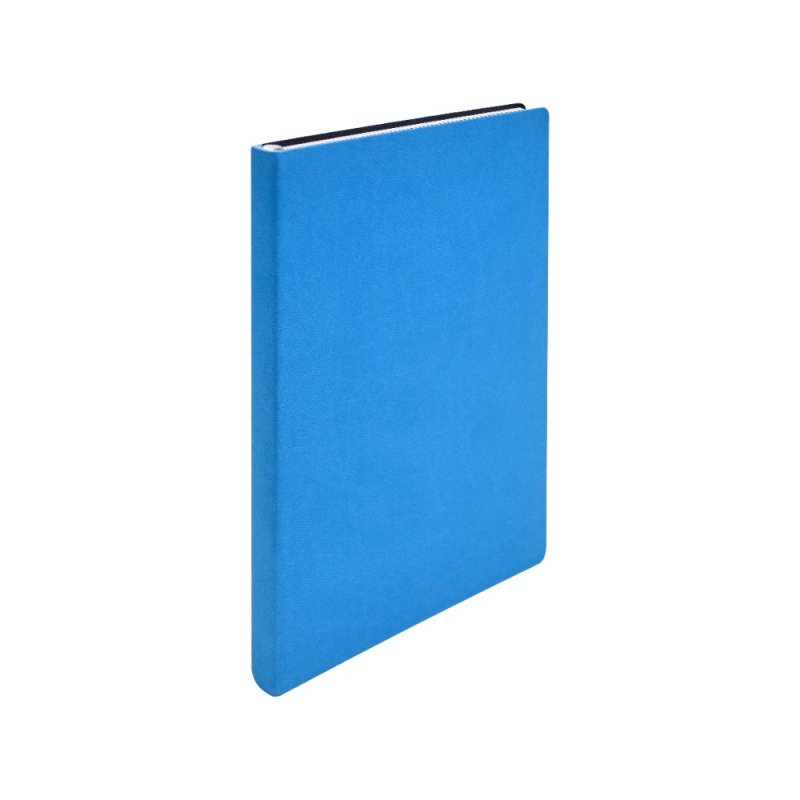 Ежедневник недатированный 