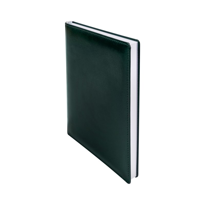 Ежедневник недатированный 