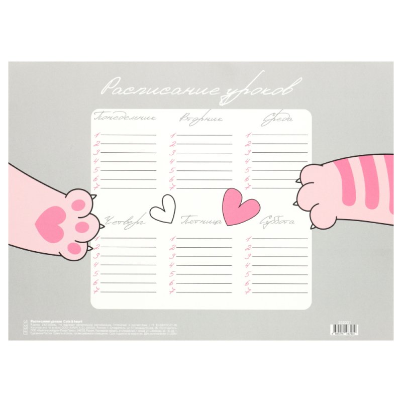 Расписание уроков 