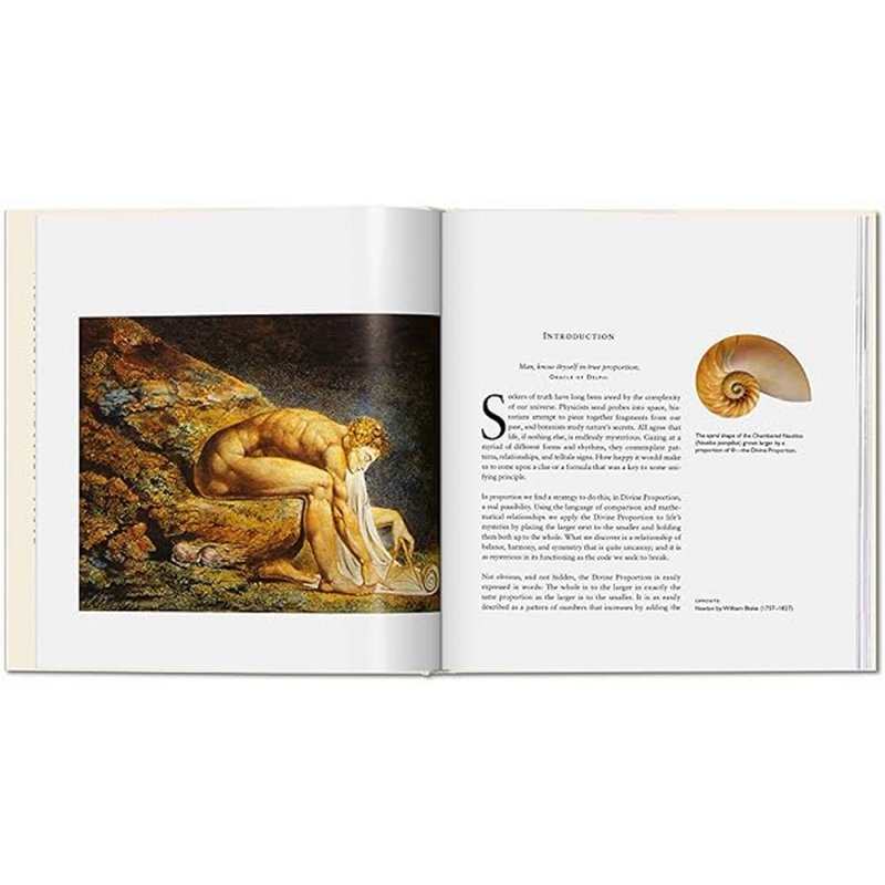 Книга на английском языке 