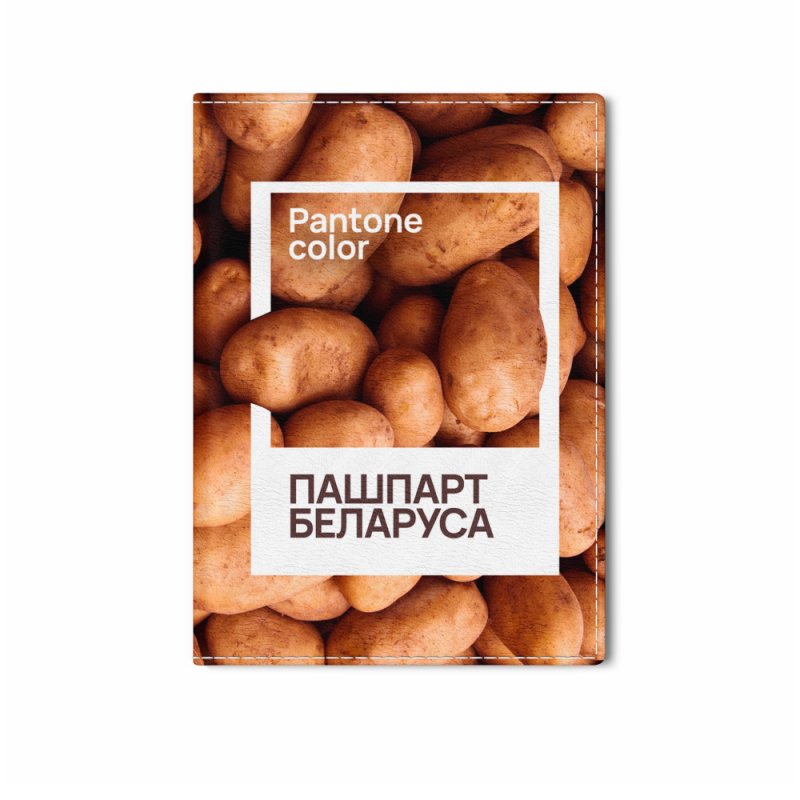 Обложка для паспорта 