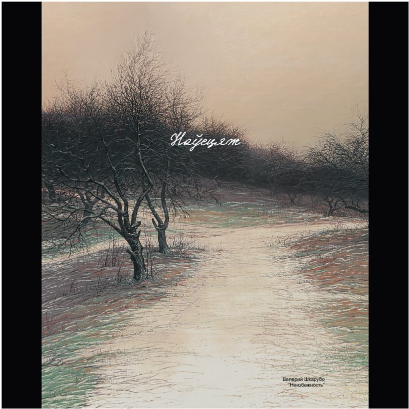 Сумка для покупок 