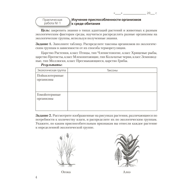 Биология. 10 класс. Тетрадь для лабораторных и практических работ (базовый уровень), Маглыш С.С., Аверсэв