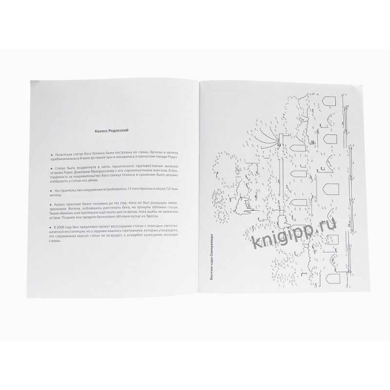 Раскраска по точкам 