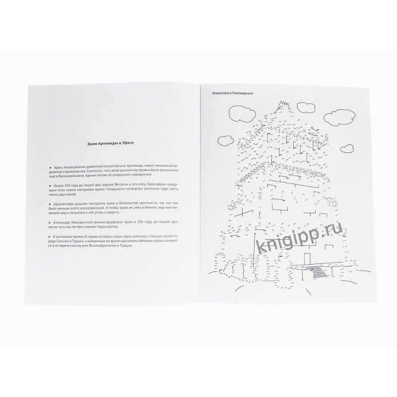 Раскраска по точкам 