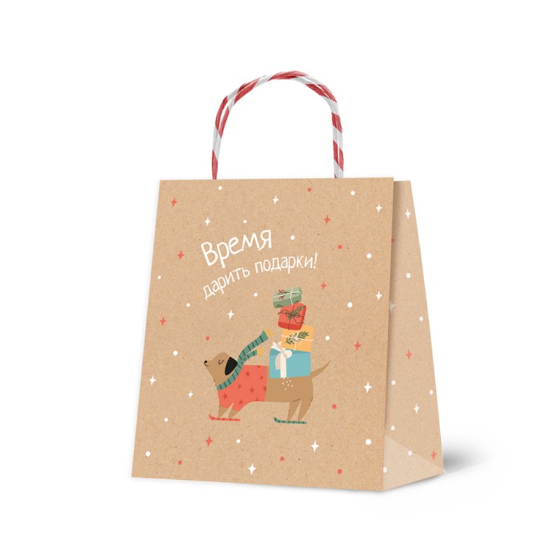 Пакет бумажный подарочный 