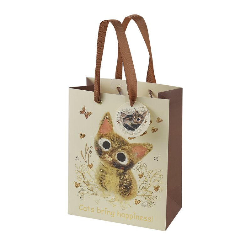 Пакет бумажный подарочный 