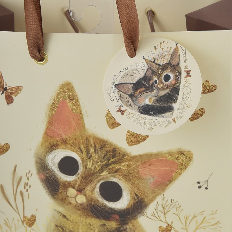 Пакет бумажный подарочный 