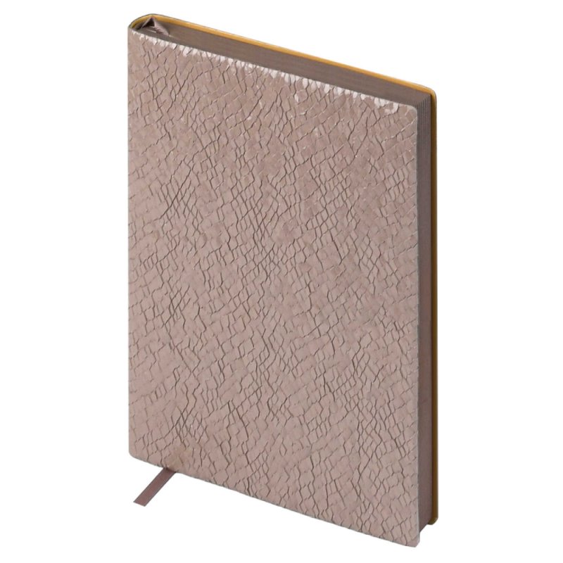 Ежедневник недатированный 