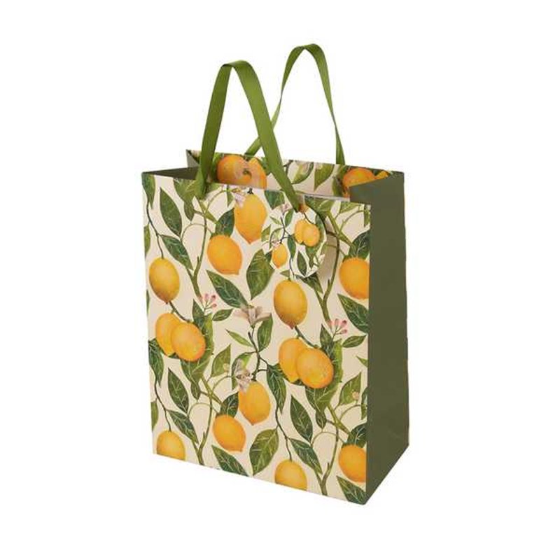 Пакет бумажный подарочный 