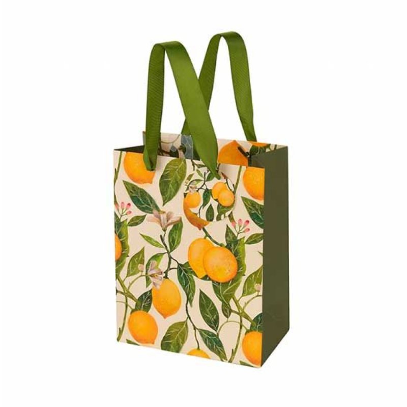 Пакет бумажный подарочный 