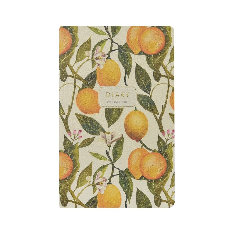 Ежедневник недатированный 