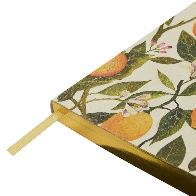 Ежедневник недатированный 