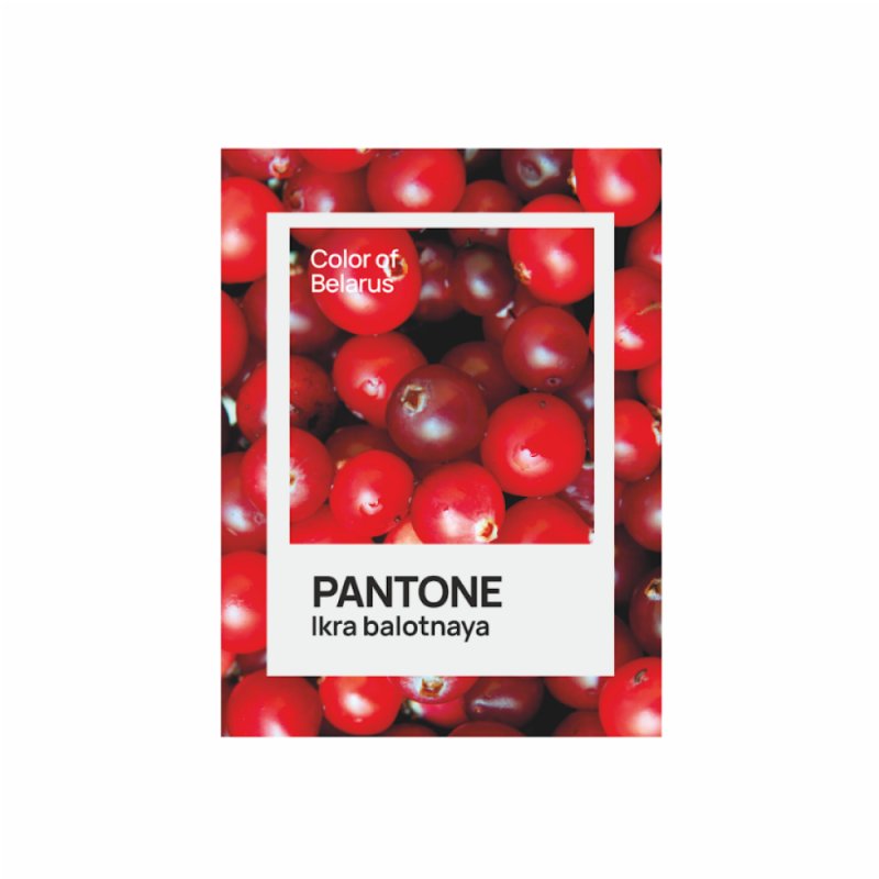 Блокнот «Color of Belarus. Pantone Ikra balotnaya», А5, 128 листов, в точку, белый, зеленый