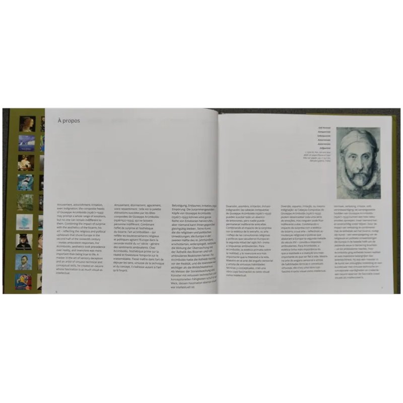 Книга на иностранных языках 