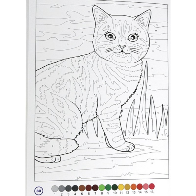 Раскраска по номерам 