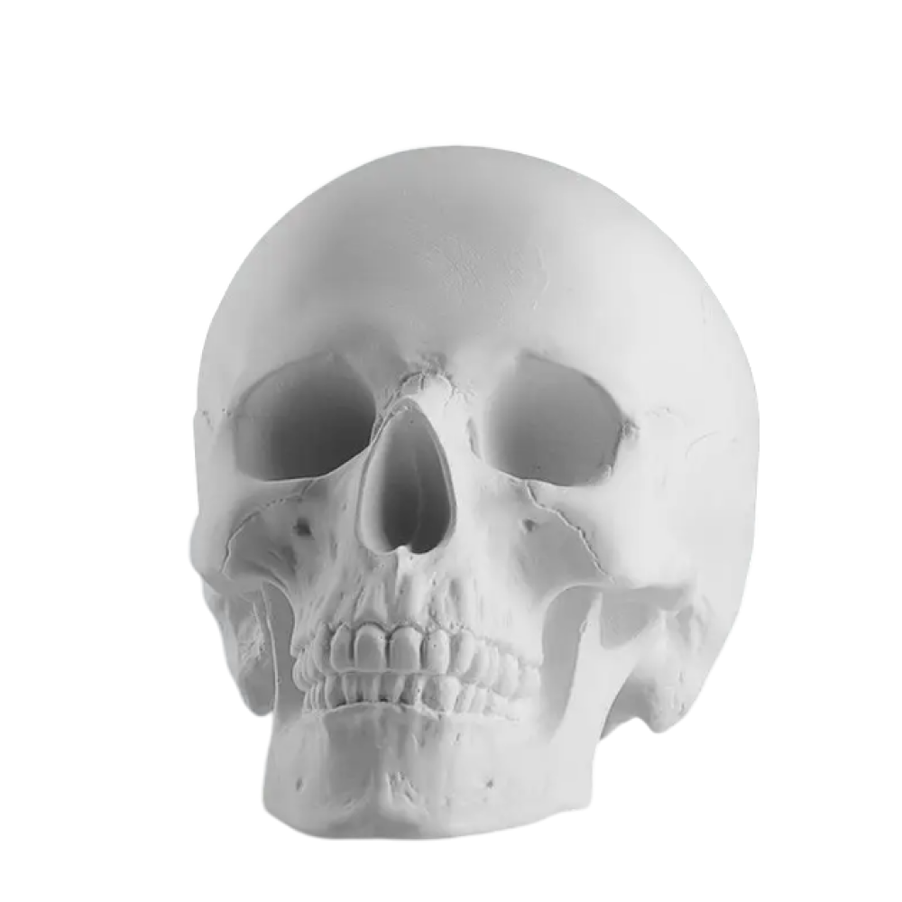 Гипсовая модель 