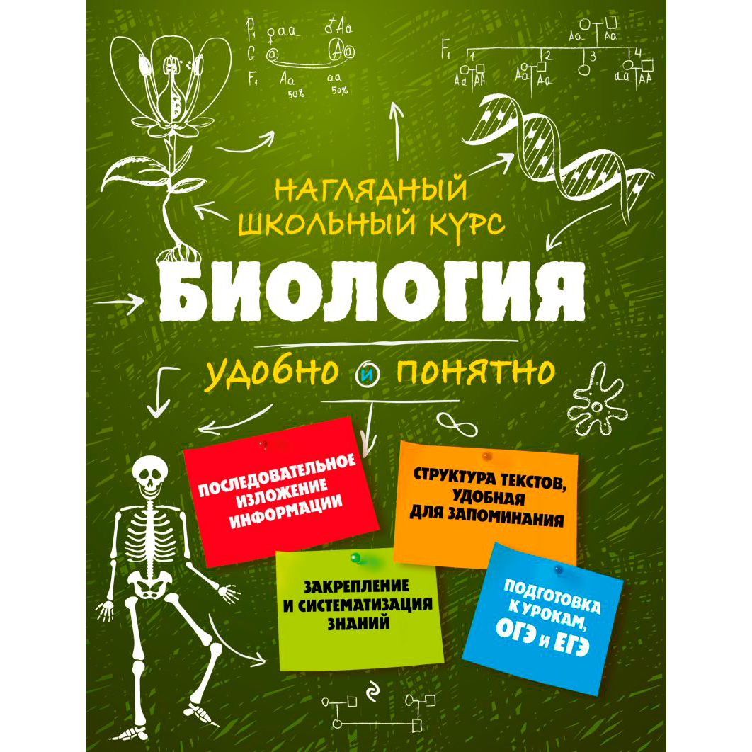 Книга 