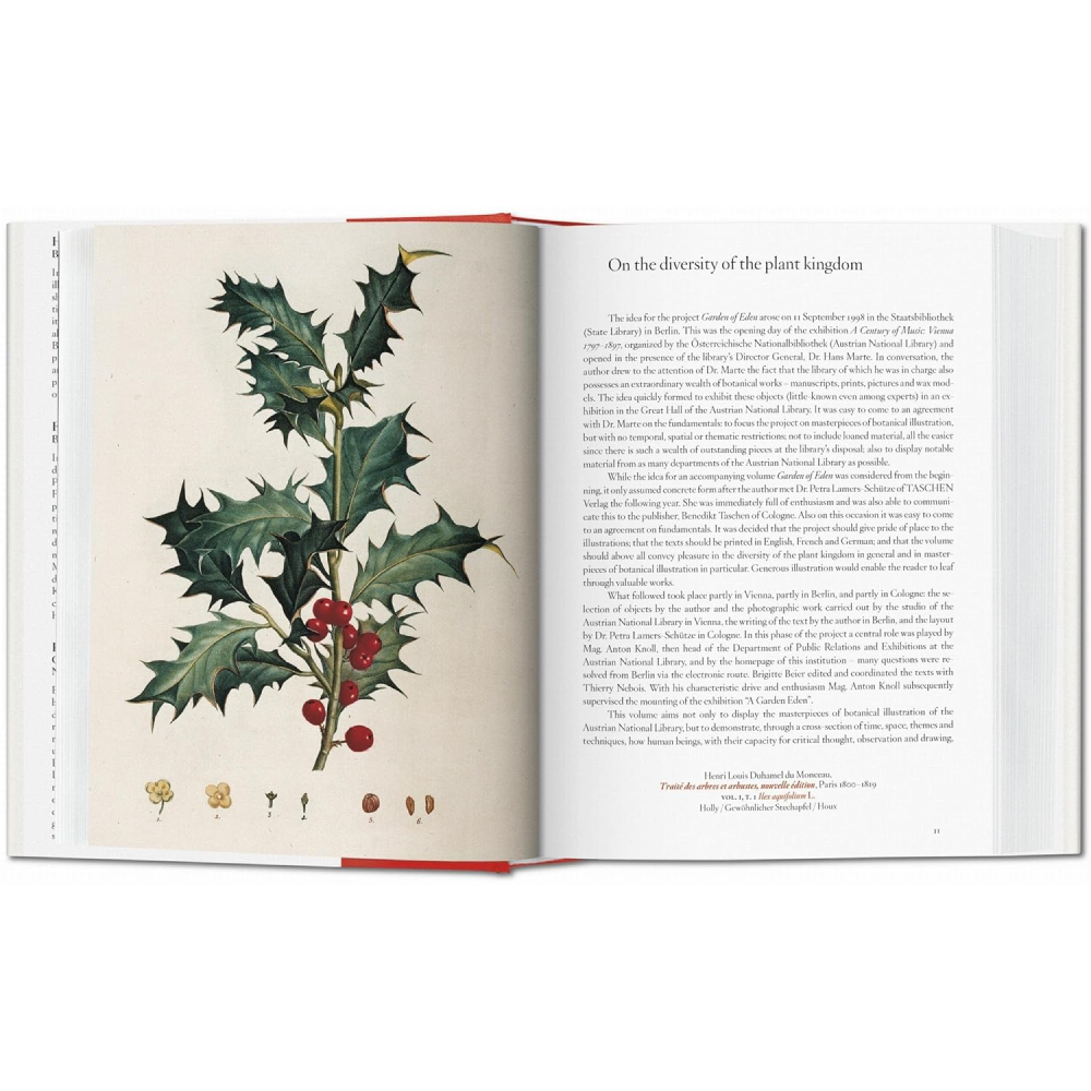 Книга на английском языке 