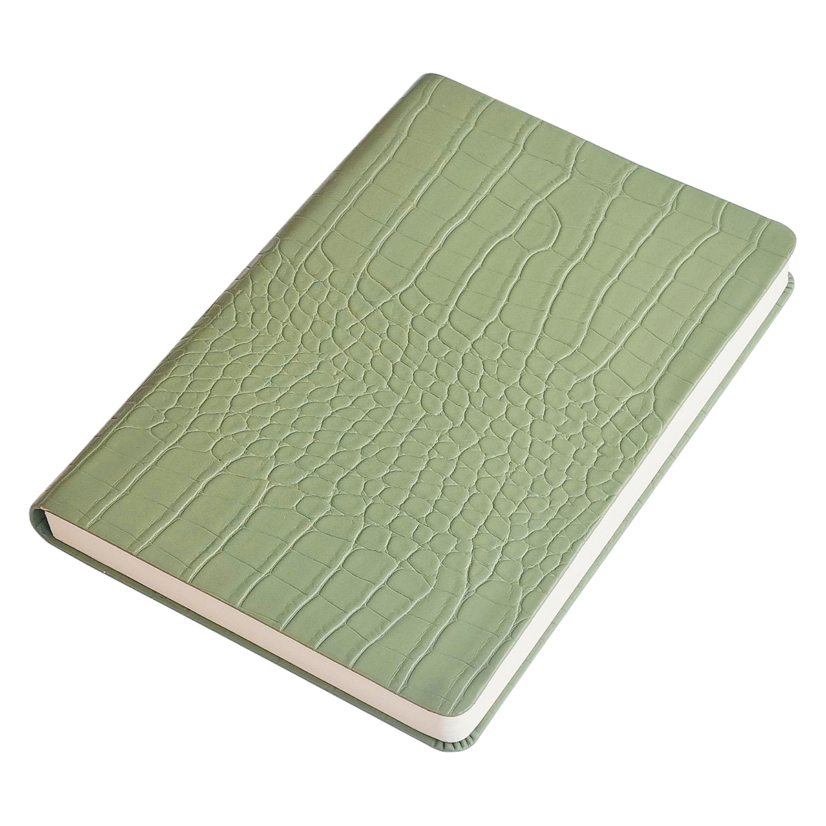 Ежедневник недатированный InFolio 