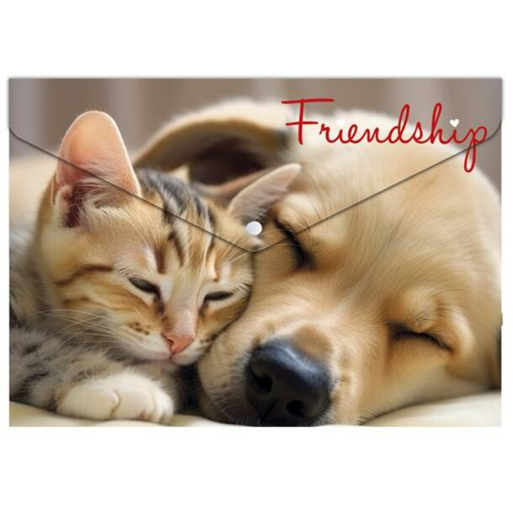 Папка-конверт на кнопке 