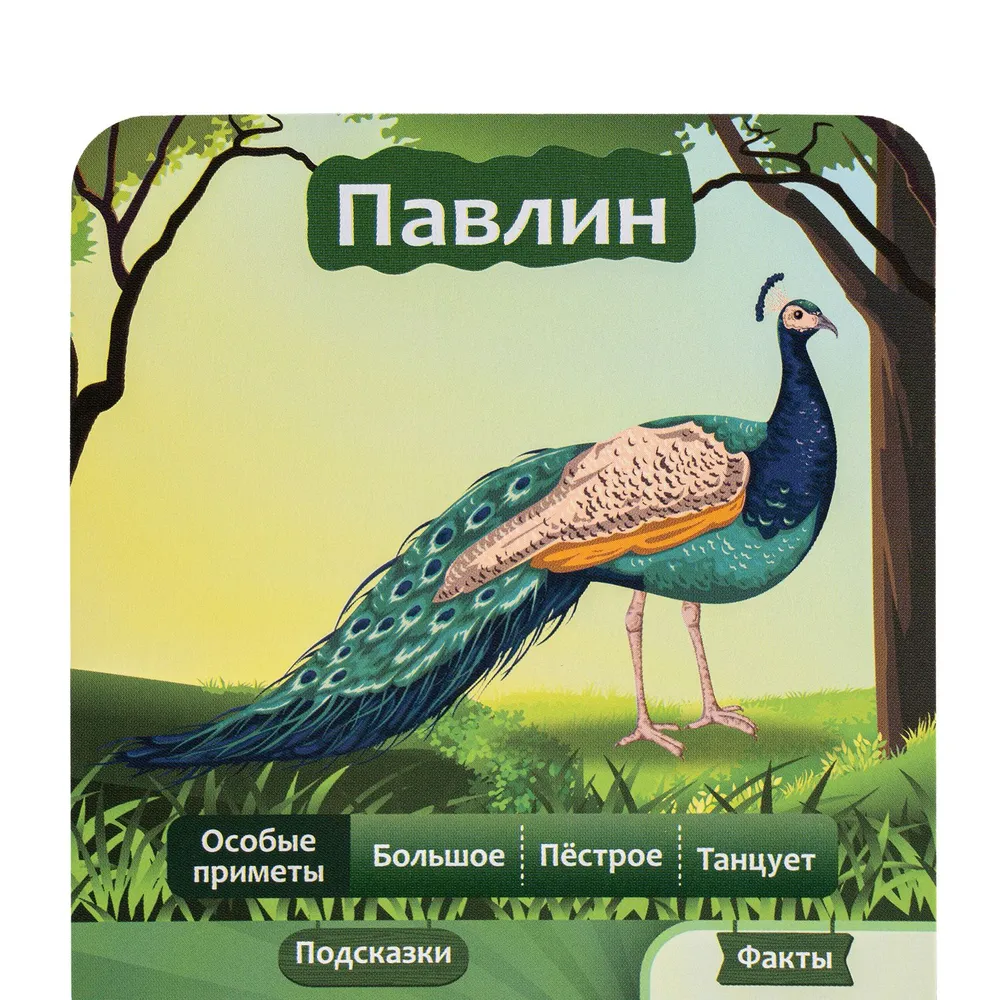 Игра настольная 