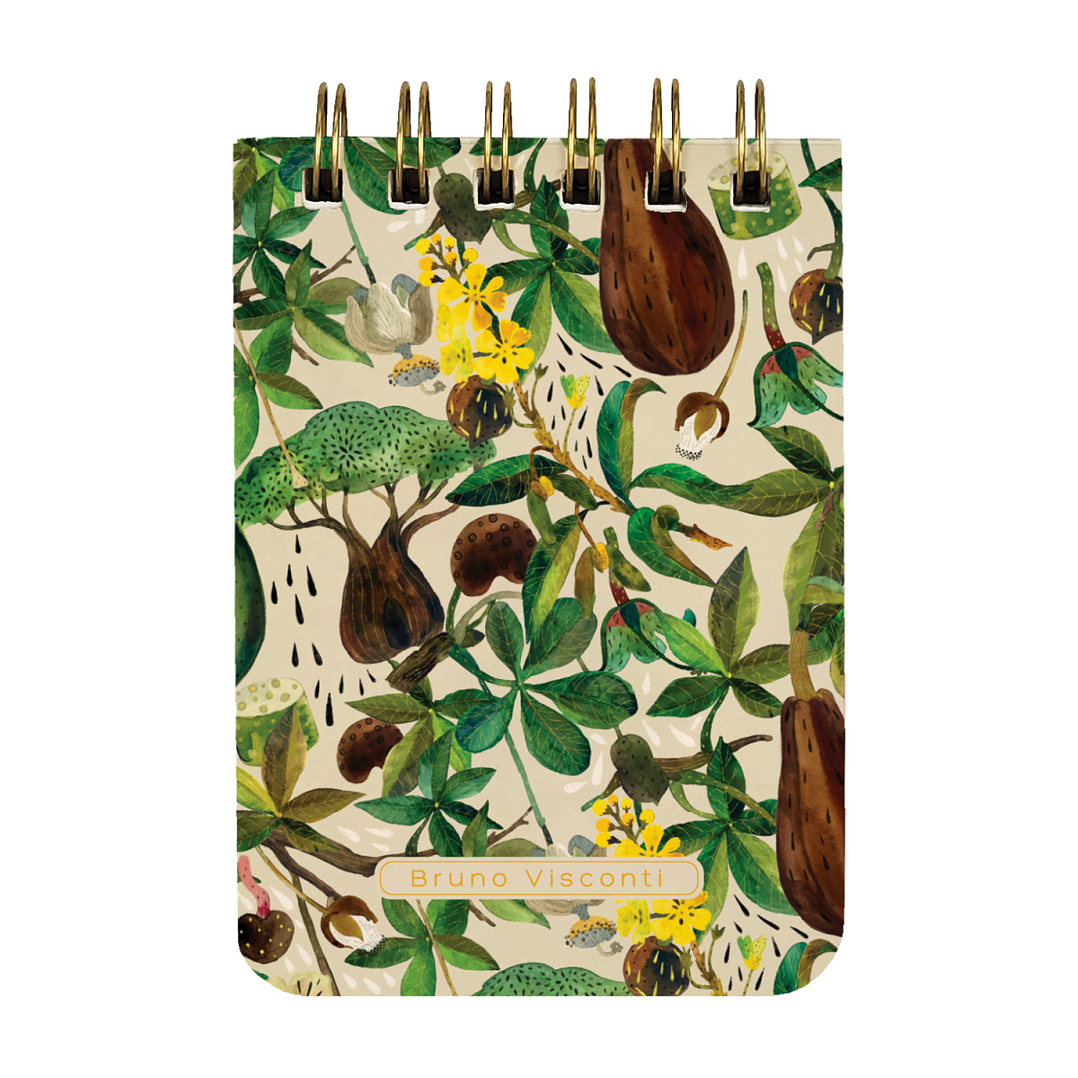 Блокнот Bruno Visconti 