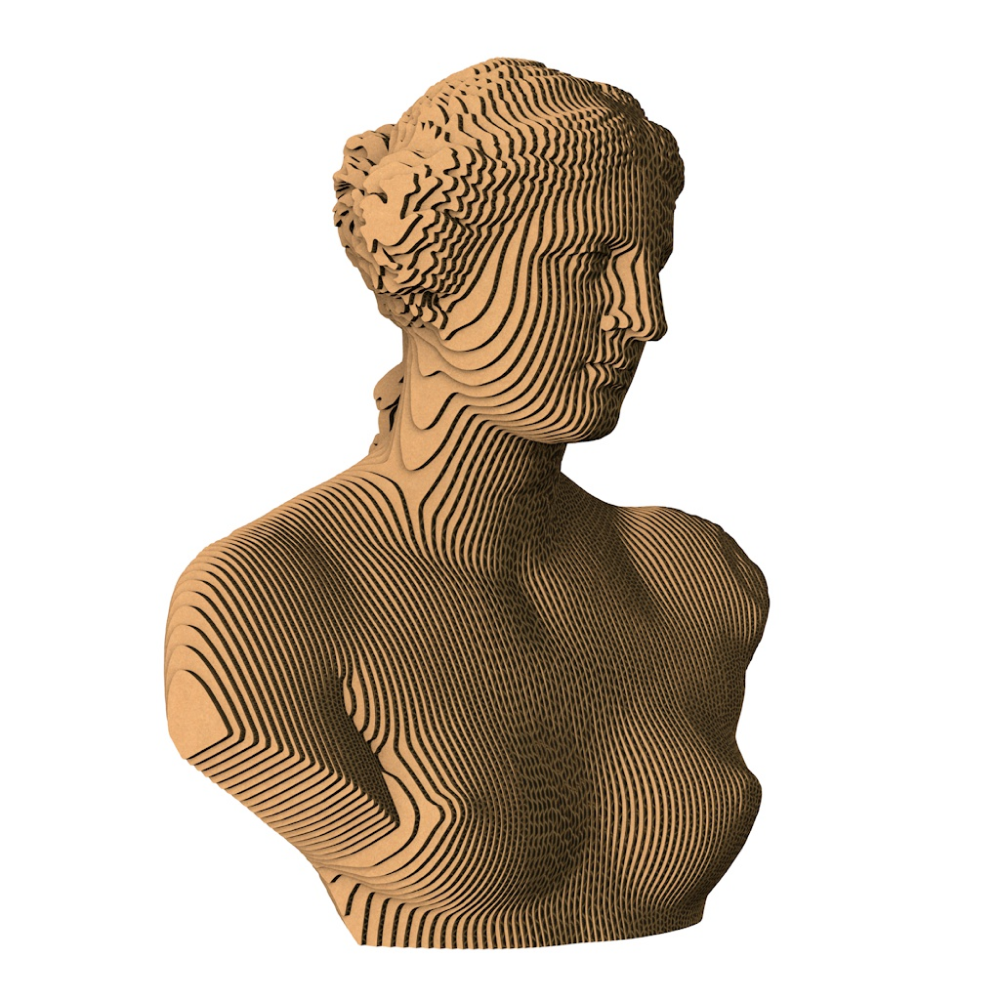 Пазл картонный 3D 