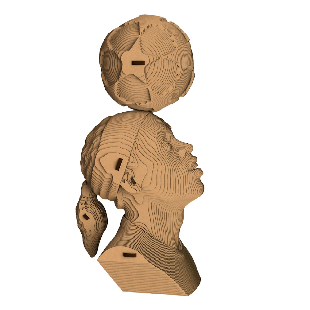 Пазл картонный 3D 