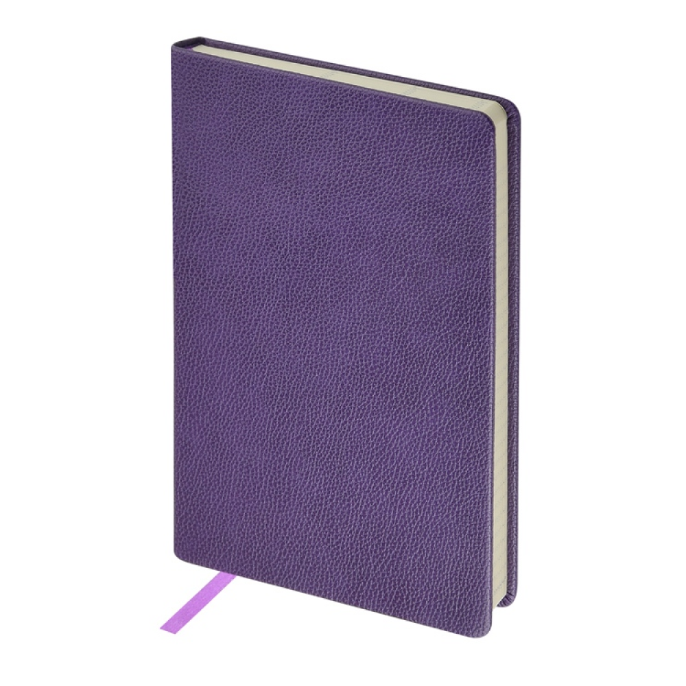 Ежедневник недатированный 