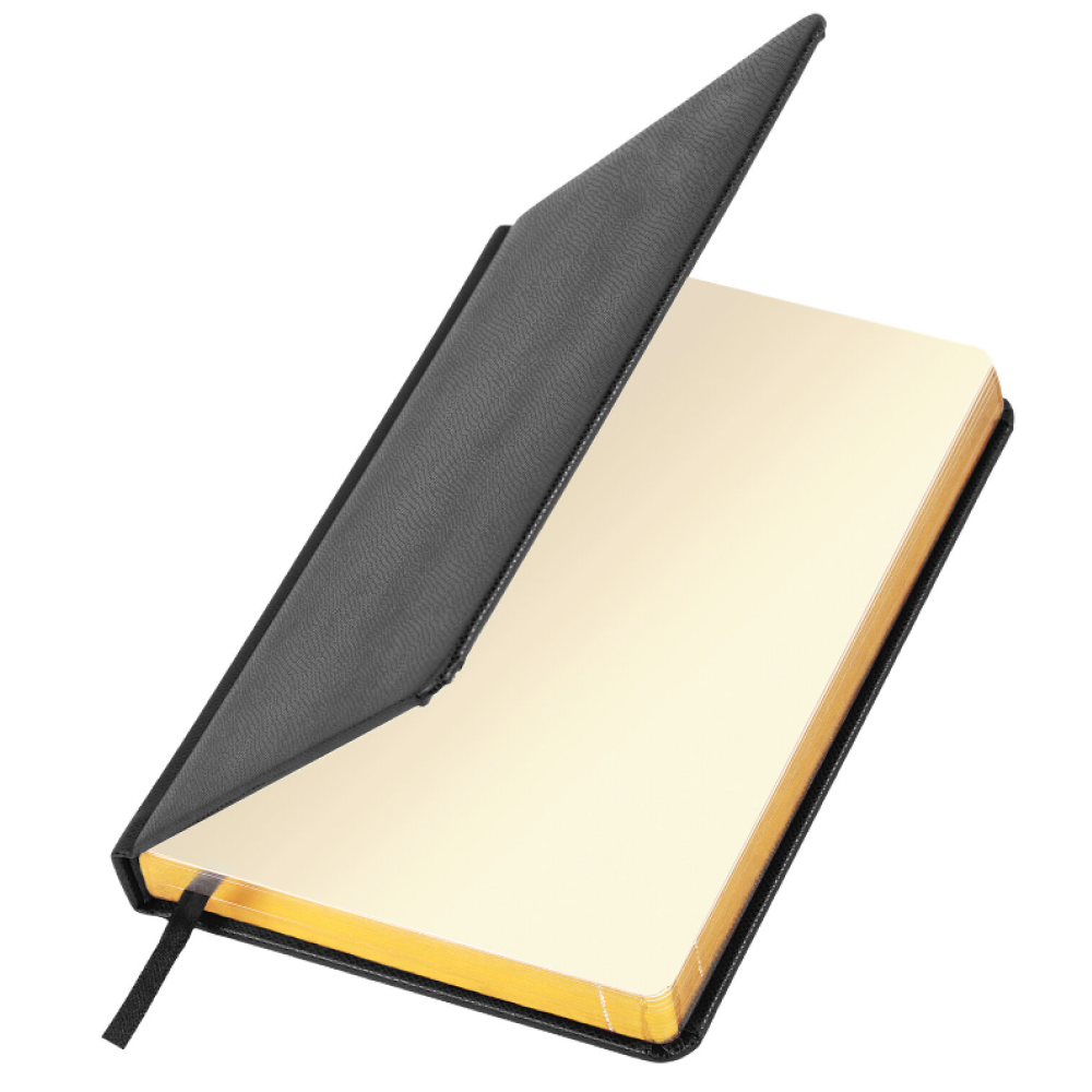 Ежедневник недатированный 