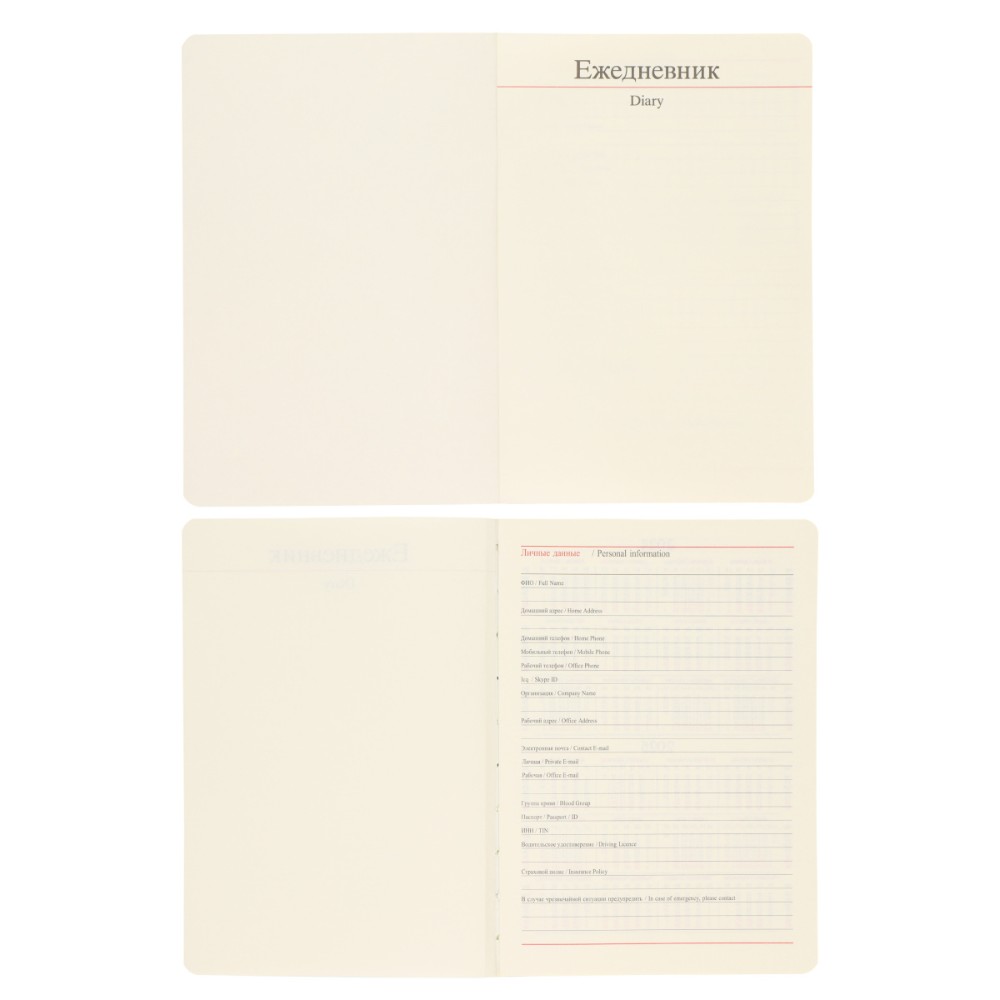 Ежедневник недатированный 